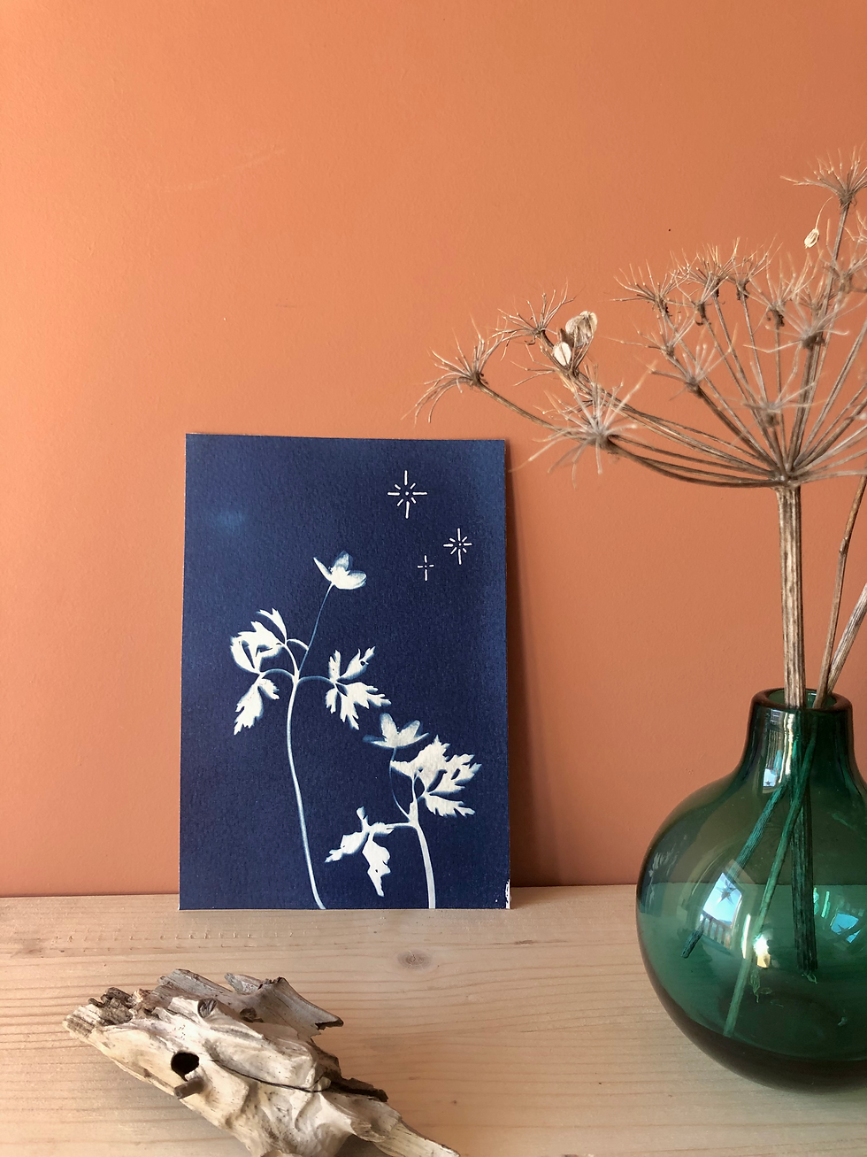 Miniature : Cyanotype Anémone Sylvie (carré)