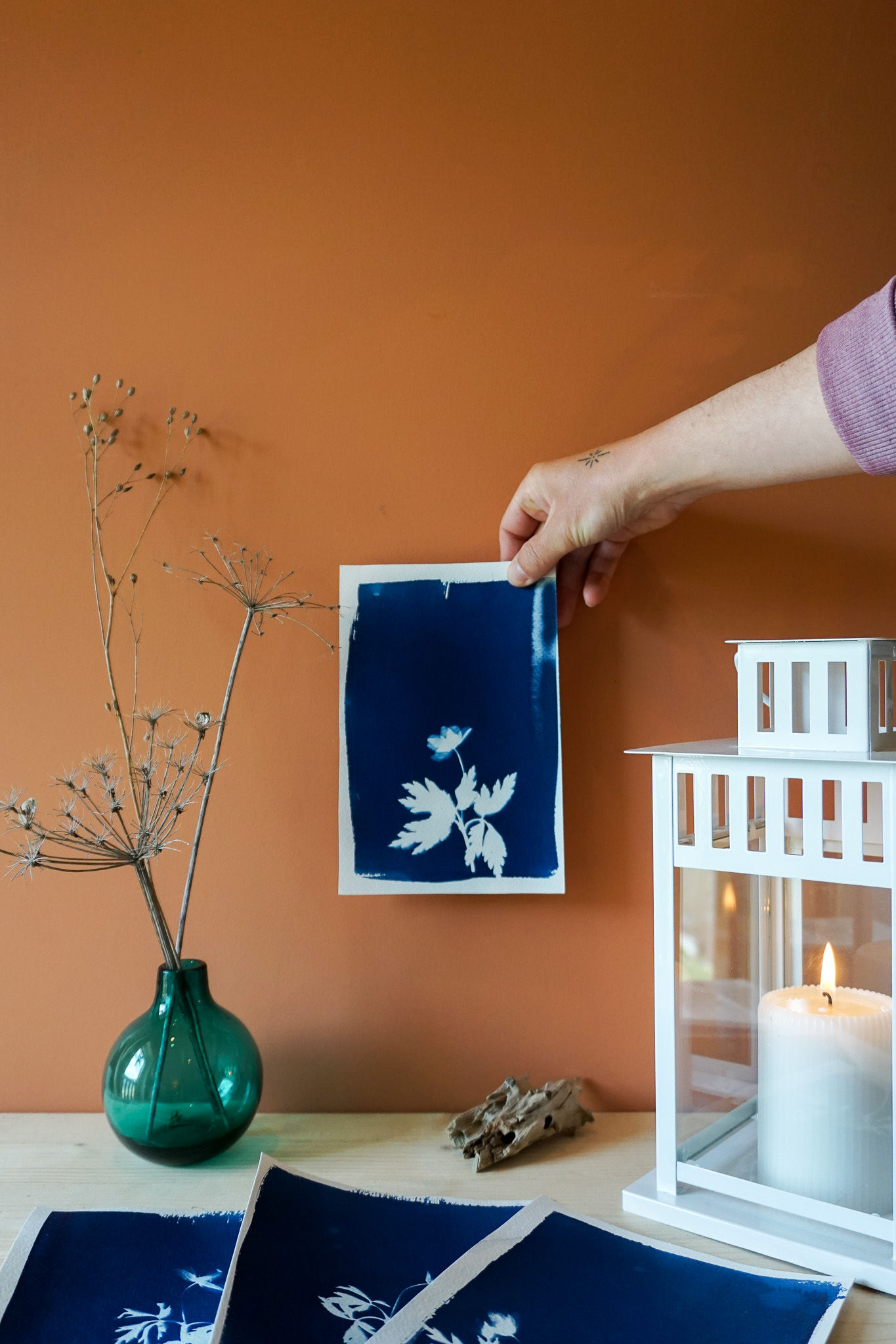 Cyanotype Anémone Sylvie A5