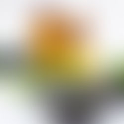 서울대입구 마사지 샵 TOP.3 관악 남성전용 스웨디시 업소 고민하지 마세요