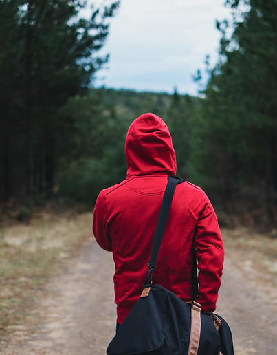 Lonely Traveller