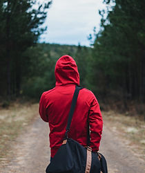 Lonely Traveller