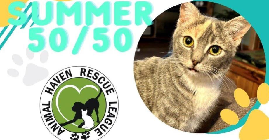 Animal Haven Rescue Stettler