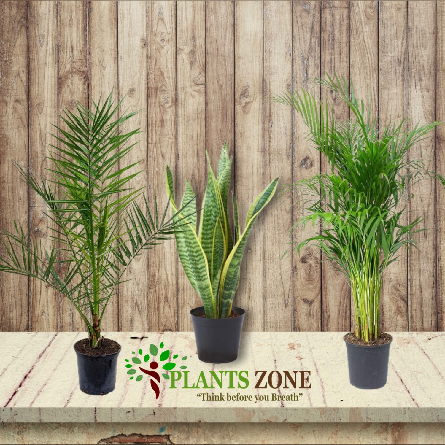 Low maintenance indoor