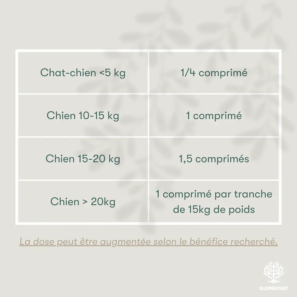 Miniature : Digestion ELEMENT VET 