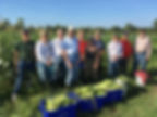 gleaning