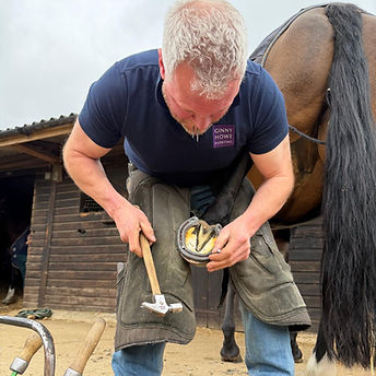 Farrier Tom Phillips shoeing a horse