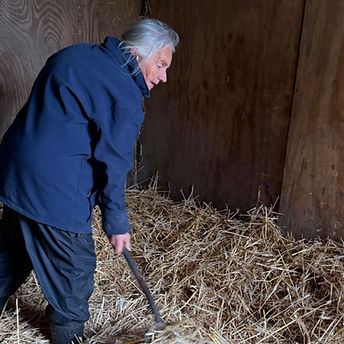 A portrait of Sue Corbett mucking out a stable