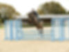 Ginny Howe riding Arlo over a showjump in a sand arena