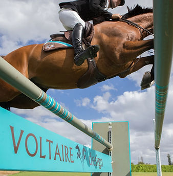 Voltaire Design UK logo on a show jump with a horse jumping over the top