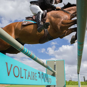 A photograph taken from below a shw jump as horse jumps over the top of it