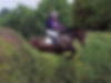 Ginny Howe riding a horse over a hedge
