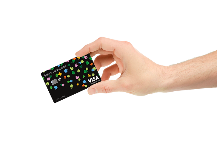 Carte visa