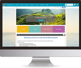 Site internet CSE