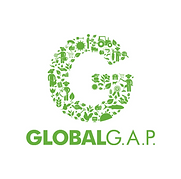 Global+Gap.png