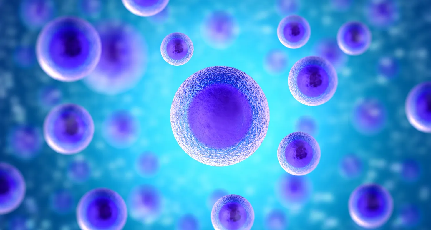 bigstock-illustration-of-human-cells-58762871.webp