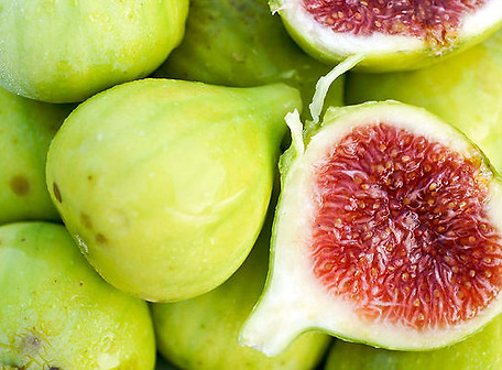 RS_adriatic-figs-2.jpeg