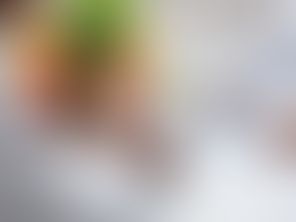 Healthy Living Made Simple: How the Best Dietician Online Consultation Can Guide You