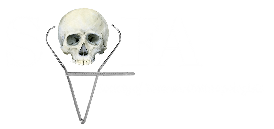 SOFA 20.png