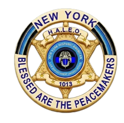 HALEO_LOGO_REMASTERED-removebg-preview_edited.png