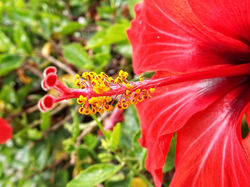 KlausF alias KFsGimper (10)