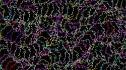 KFGW-1920x1080px (78)