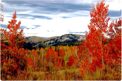 KlausF alias KFsGimper (4)