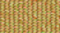 KlausF - alias KFsGimper (49)