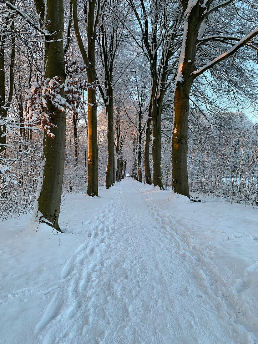 WhatsApp Image 2026-01-05 at 16.52.10.jpeg