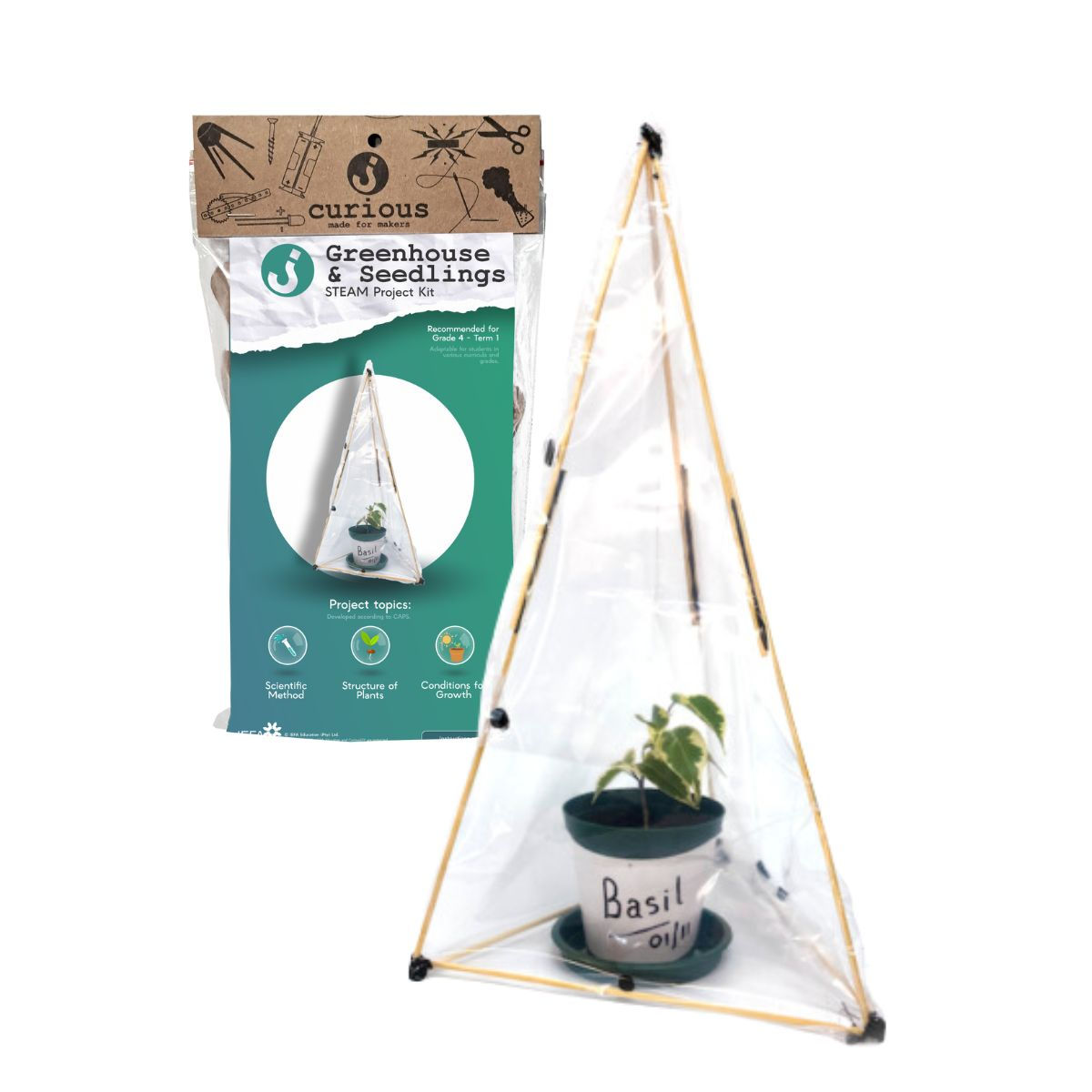 Gr 4 Term 1 - Greenhouse & Seedlings