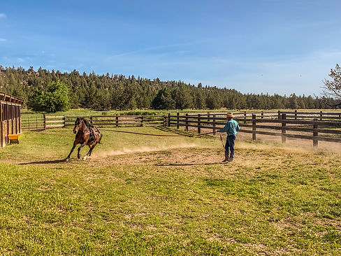 Long Hollow Ranch.jpg