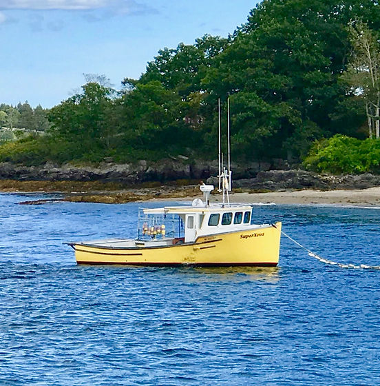 Square Yellow Tender.jpg