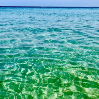 mare trasparente.jpeg