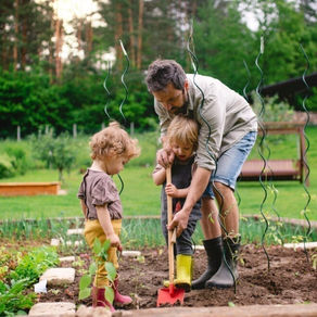 4 Benefits of Growing Your Own Garden