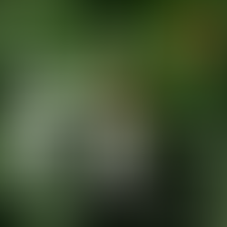 【簡單挑酒】轟動武林、驚動萬教,江湖人稱地球酒!