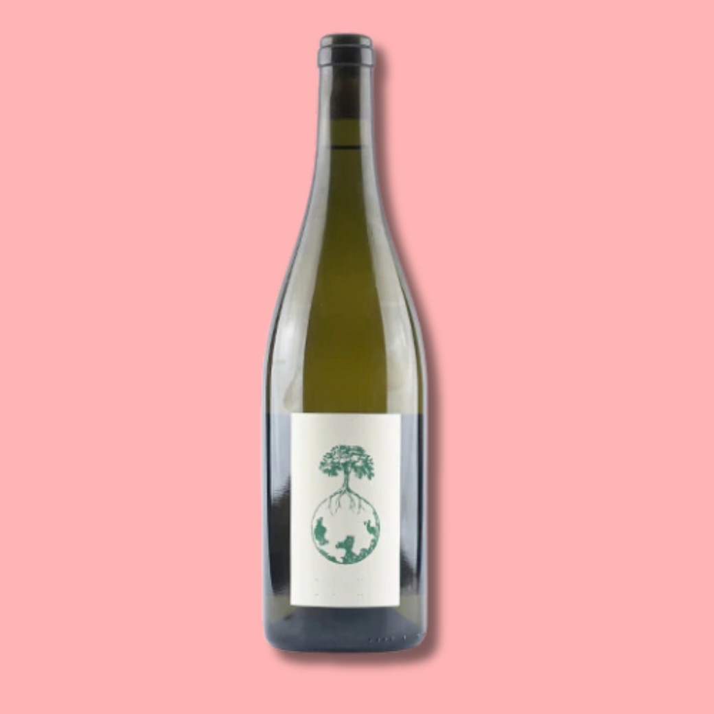 1431 Weingut Werlitsch Morillon vom Opok 2023