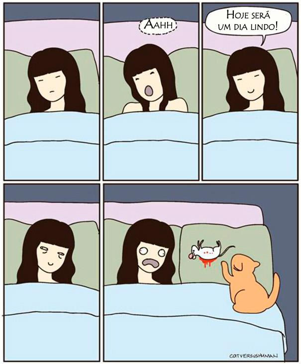 logica-dos-gatos-016.jpg