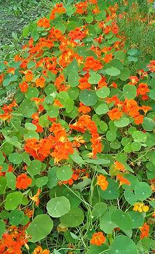 20170825_143931.jpg