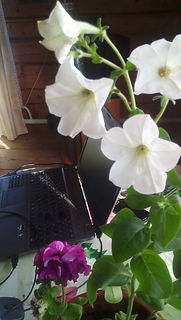 20170627_192120.jpg
