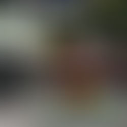 Citrawarna Parade, Celebrating Unity in Diversity : Universiti Malaya's FESKUM 2023 