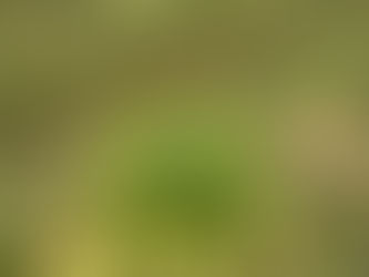 農の便り from 奈良 #４０