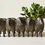 Thumbnail: Gathered Flock Planter 