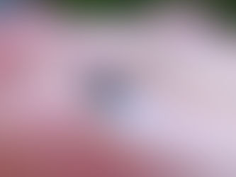 農の便り from 奈良 #３１