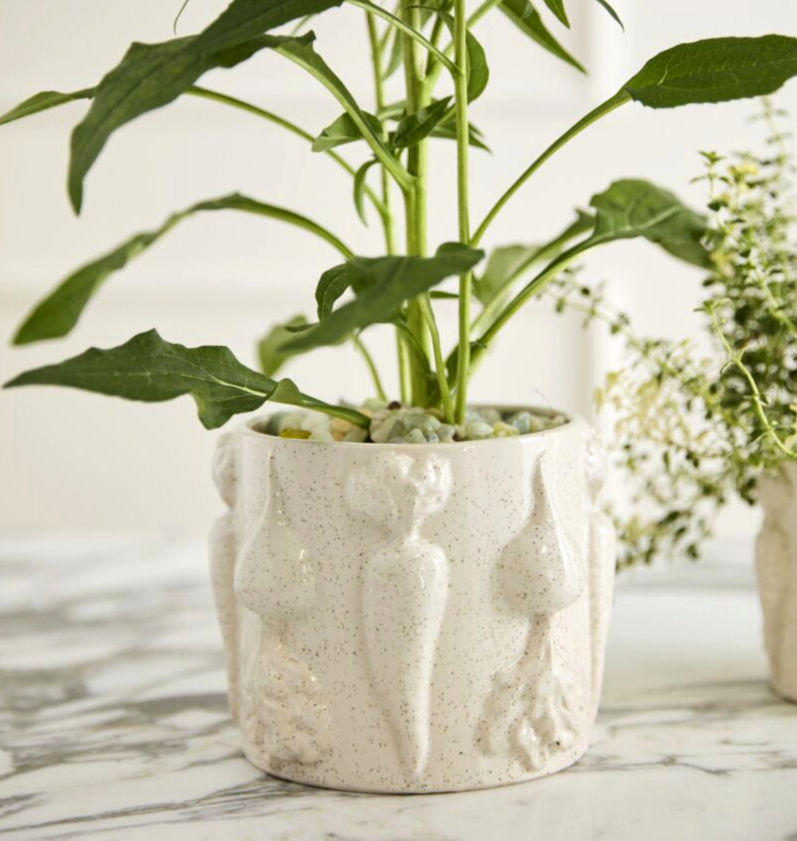 Thumbnail: Veggie Pot Collection 