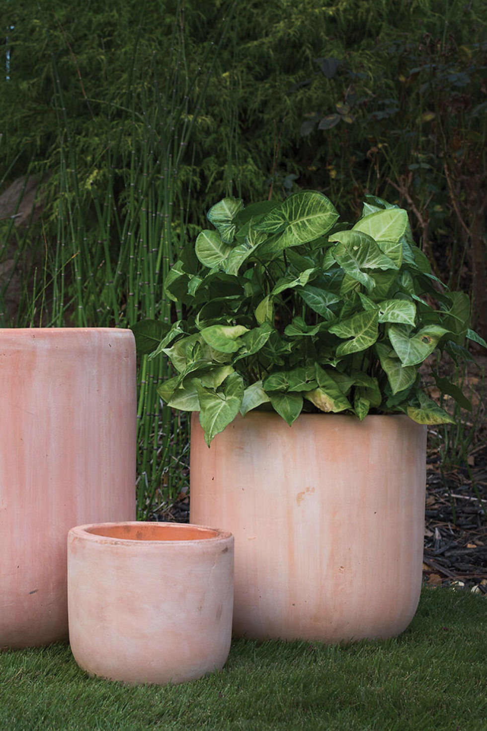 Thumbnail: Laredo Planter Collection 