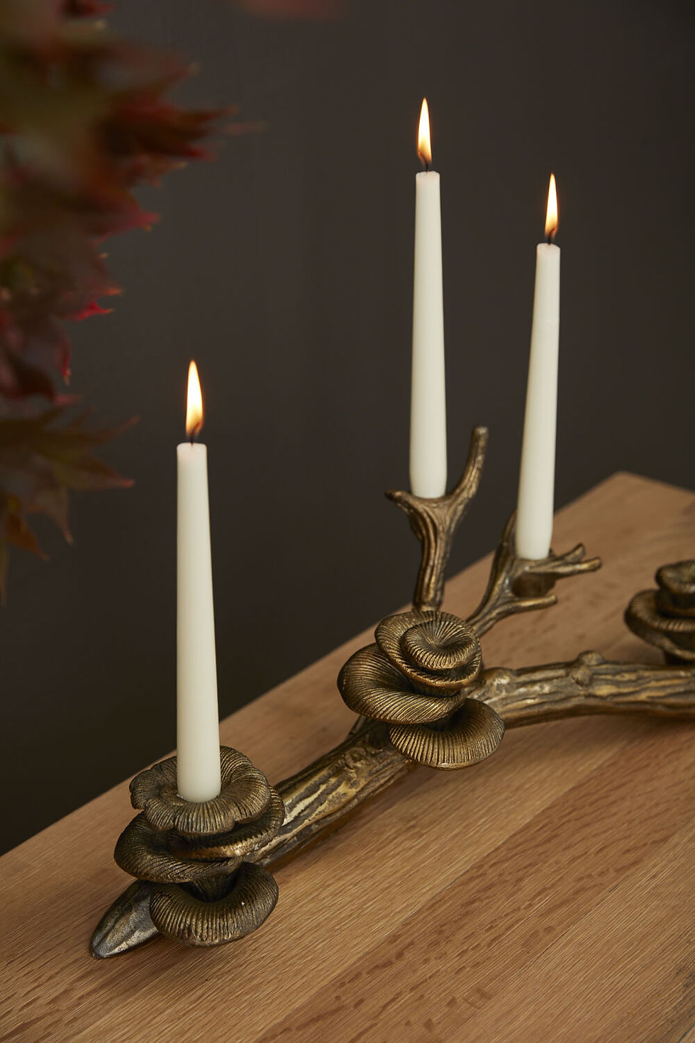 Thumbnail: Oyster Mushroom Candleholder