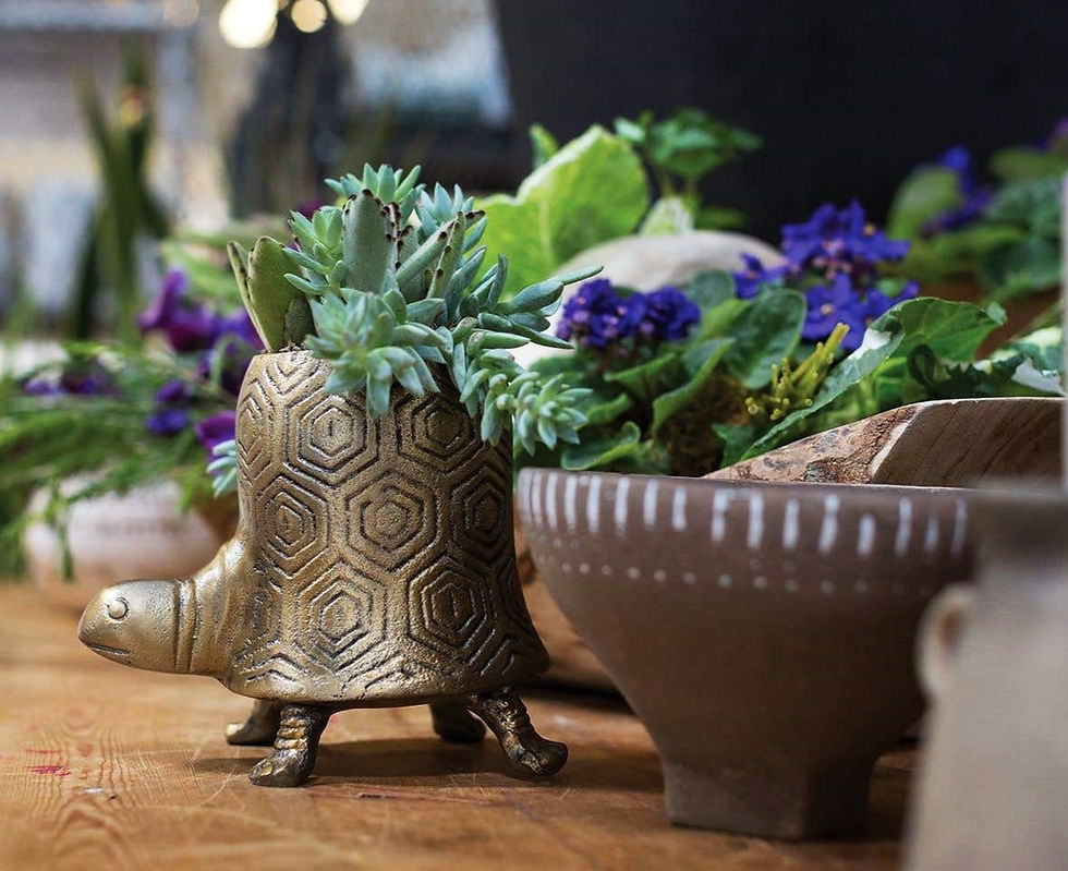 Thumbnail: Seymour Turtle Pot