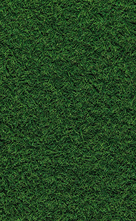 Lawn mowing, landscape installations, shrub trimming, property clearing, and snow remediation