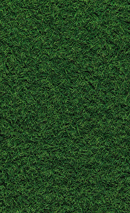 Lawn mowing, landscape installations, shrub trimming, property clearing, and snow remediation