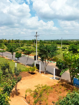 brindavanam1.jpeg