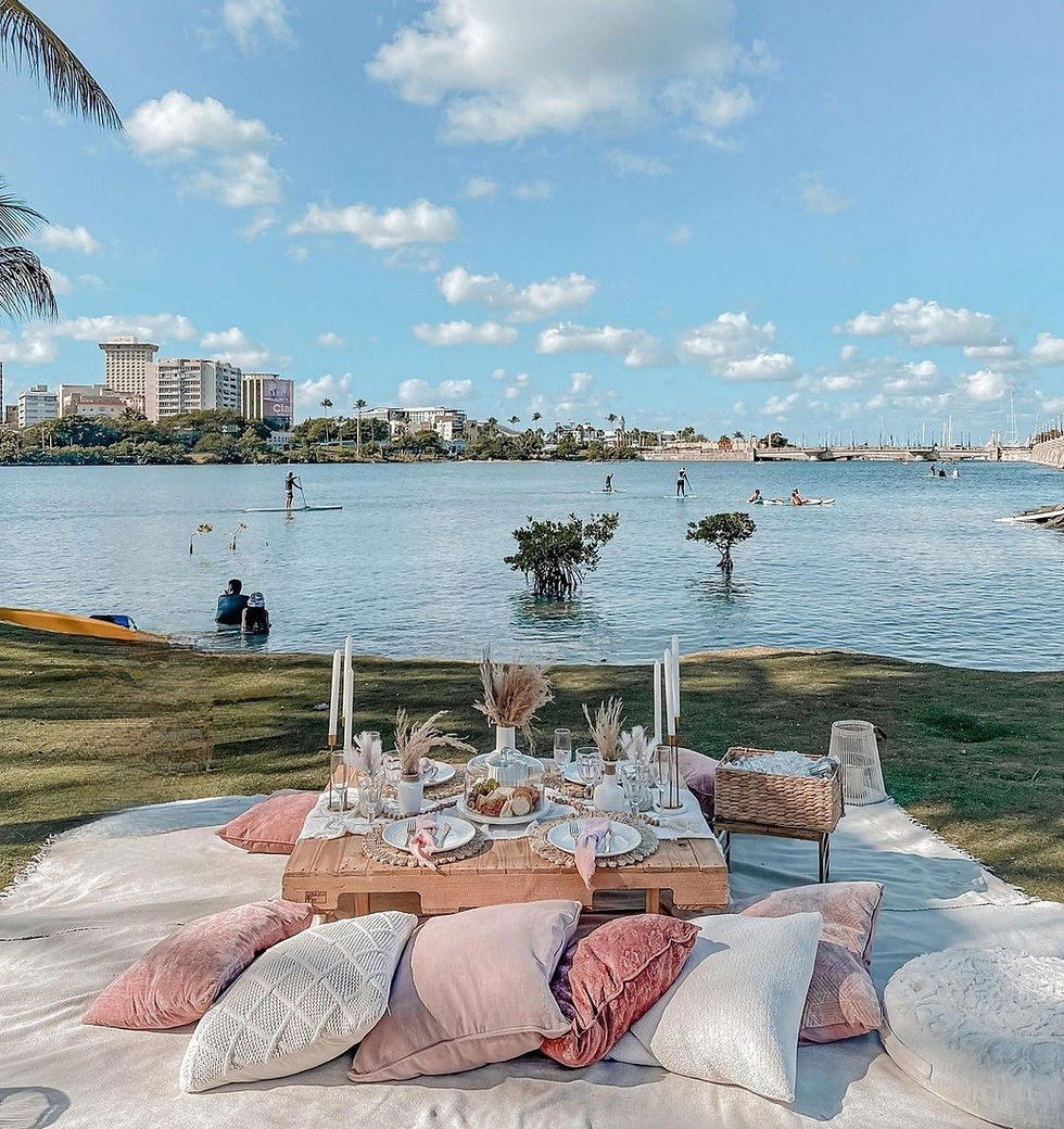 Thumbnail: Picnic Setup